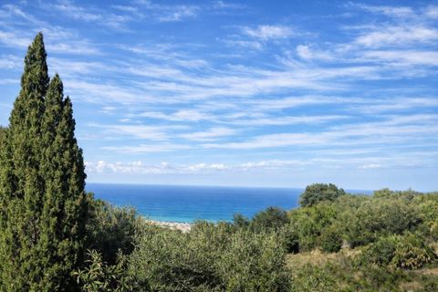 Tomt i Benimeli, Alicante, Benimeli - € 83 000 | Ref: PNPT297 - foto 28